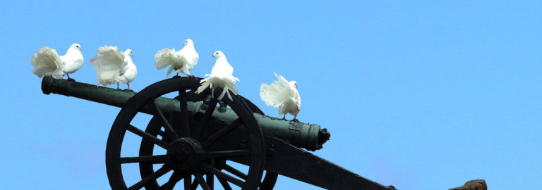 Tauben auf Kanone