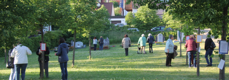 Haltestelle Friedhof Trautskirchen Poetische Texte an Bäumen
