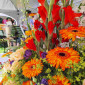 Blumen Tauffest